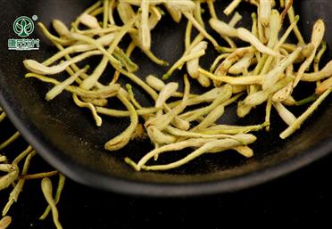 采摘金銀花，并不是采摘下來而已 - 中藥飲片代工