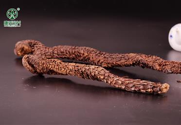 肉蓯蓉切片和打粉哪個好，肉蓯蓉適宜搭配什么一起服用 - 中藥粉代工