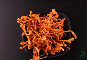 蟲草花燉湯適宜搭配的食材有哪些，蟲草花燉雞好美味-康氏中藥飲片代工定制OEM