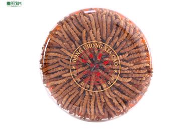 “東方瑰寶”冬蟲夏草，四個步驟教你辨別蟲草品質衛康旗下康氏中藥飲片西洋參、冬蟲夏草代工、定州、OEM