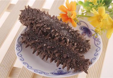 海味珍饈數(shù)海參！全家老少食遼參，即食縱享好滋味，康氏中藥飲片代工定制OEM