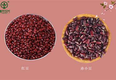 春夏食豆，勝過(guò)吃肉！赤小豆和紅豆真的不一樣，康氏中藥飲片代工定制OEM