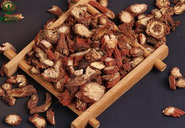 帶你認識婦科要藥——丹參，康氏中藥飲片代工定制OEM-中藥飲片代加工