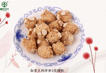 選擇西洋參精選圓粒的十大理由-康氏中藥飲片代工定制OEM-西洋參代加工-西洋參批發市場