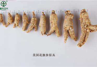 西洋參規格分類大全，這么分簡單又好記-康氏中藥飲片代工定制OEM-西洋參禮品定制