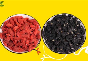 紅枸杞和黑枸杞哪個好？黑紅枸杞的區別說給你聽-康氏中藥飲片代工定制OEM